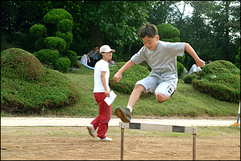 장애물 경기. 허들 